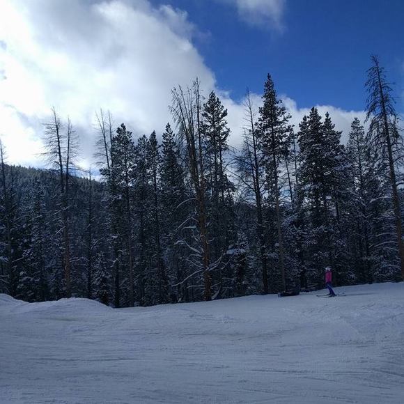 Meet your Posher, Jordan - Picture 1 of 1